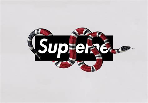 gucci print wallpaper snake|supreme Gucci snake background.